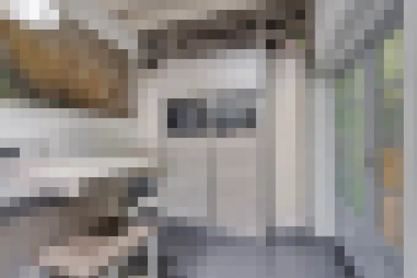 Dorpsstraat 18 Renswoude thumbnail 22