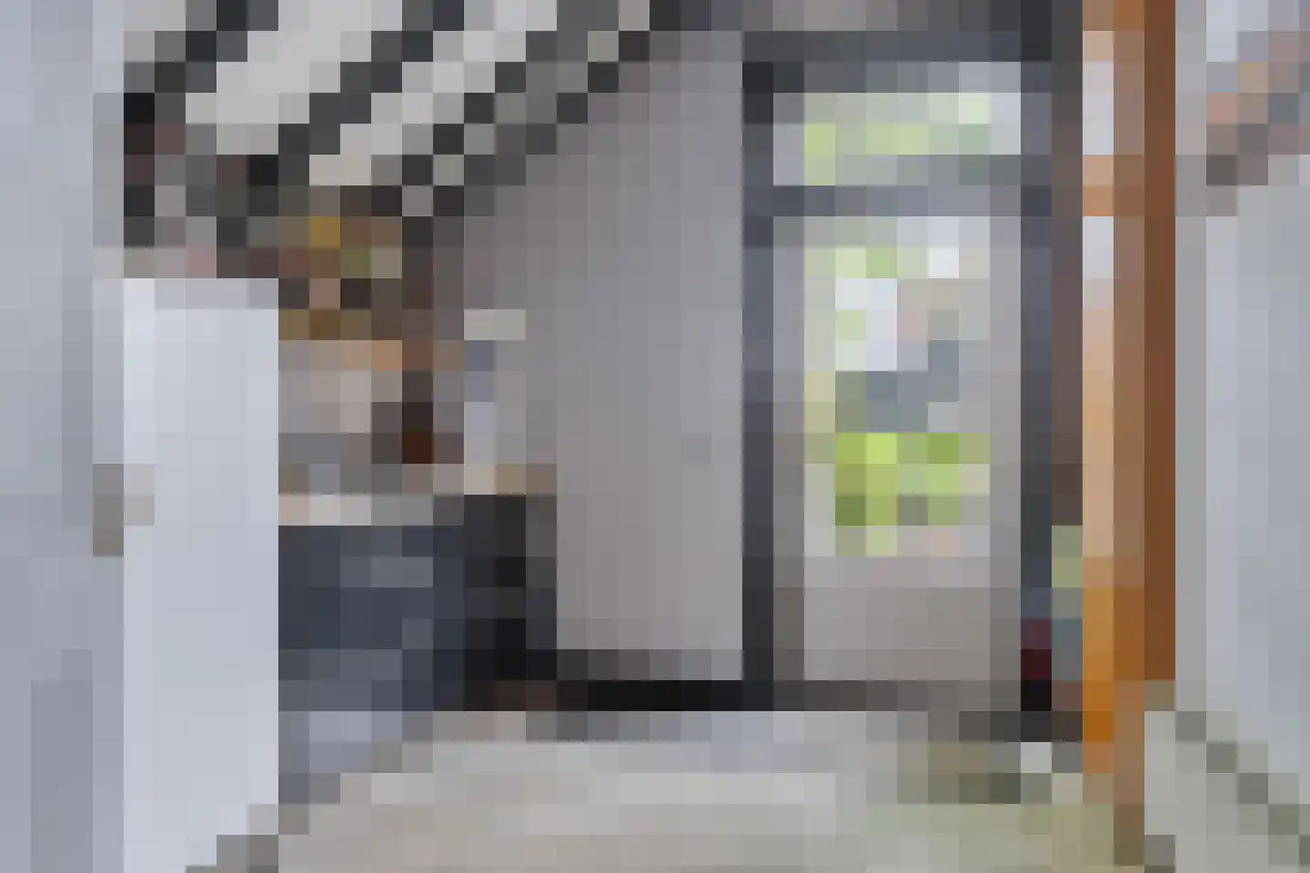 Dorpsstraat 18 Renswoude thumbnail 32