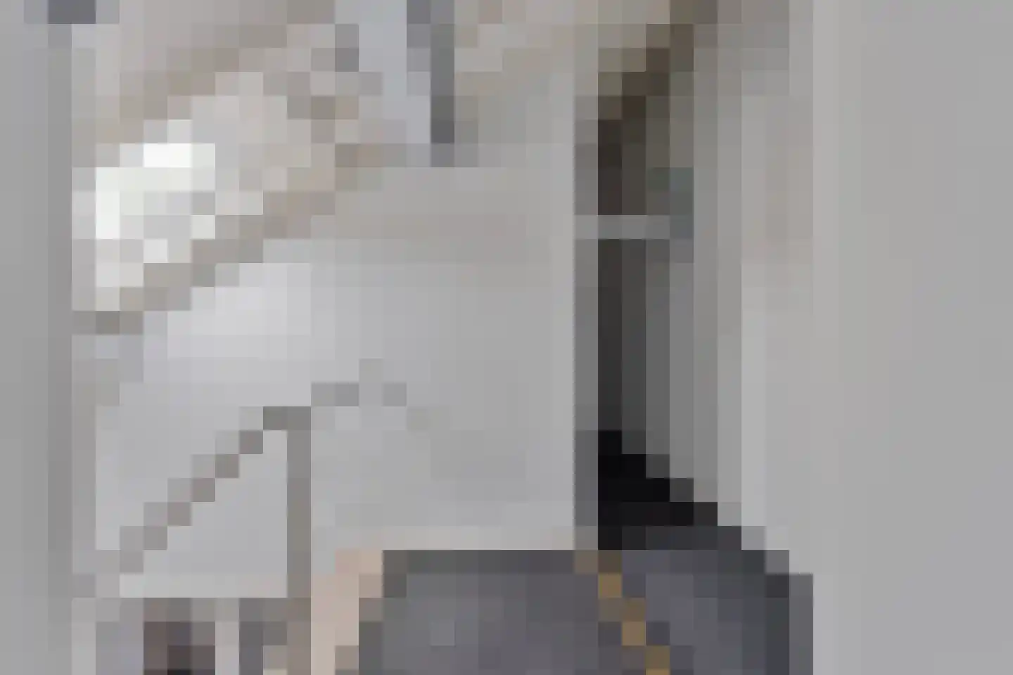 Dorpsstraat 18 Renswoude thumbnail 34