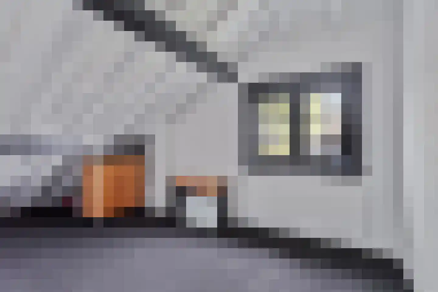 Dorpsstraat 18 Renswoude thumbnail 41