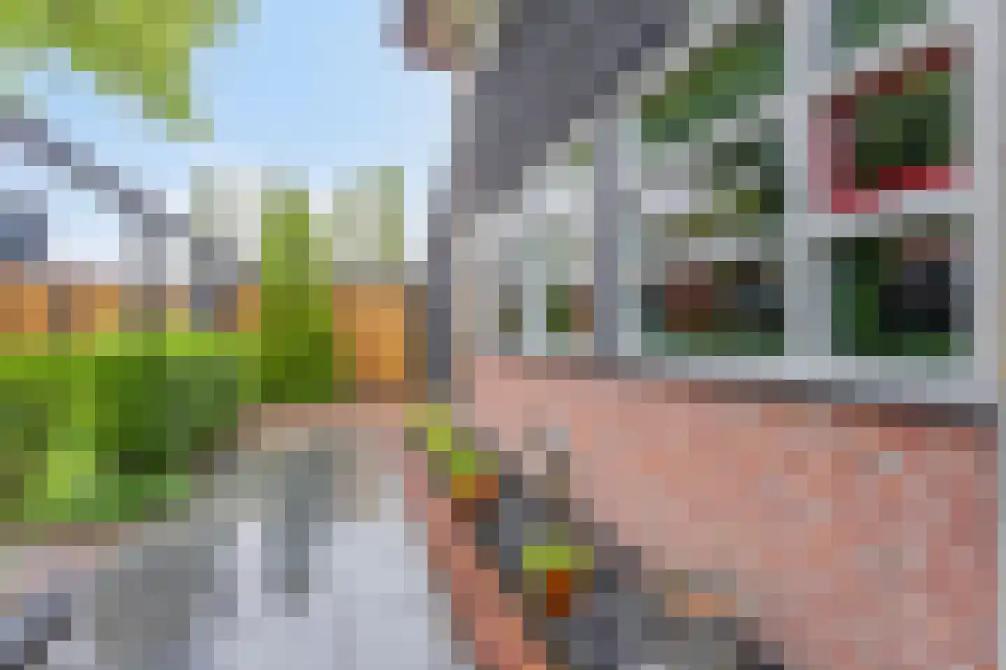 Dorpsstraat 18 Renswoude thumbnail 52