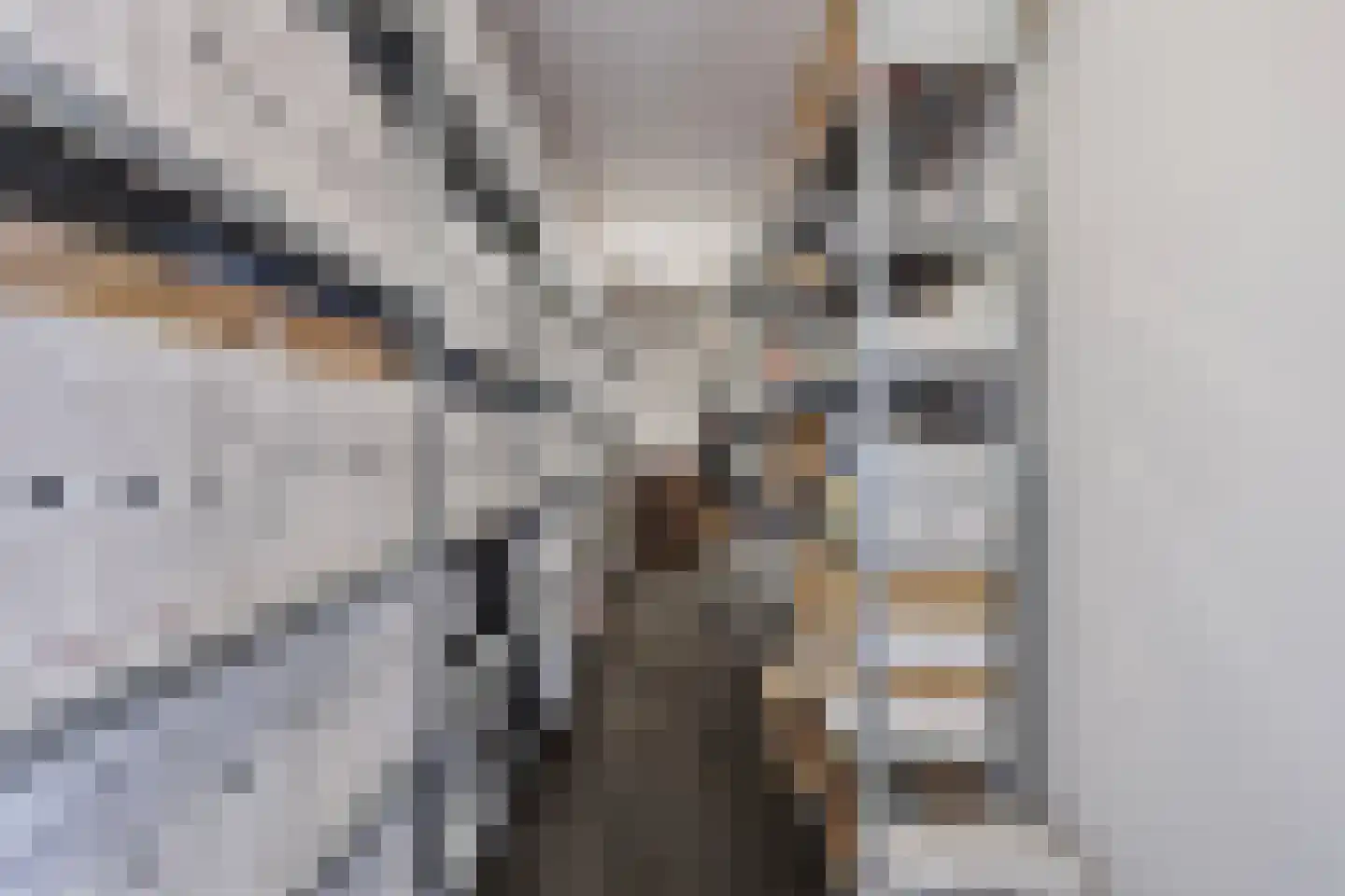 Dorpsstraat 18 Renswoude thumbnail 64