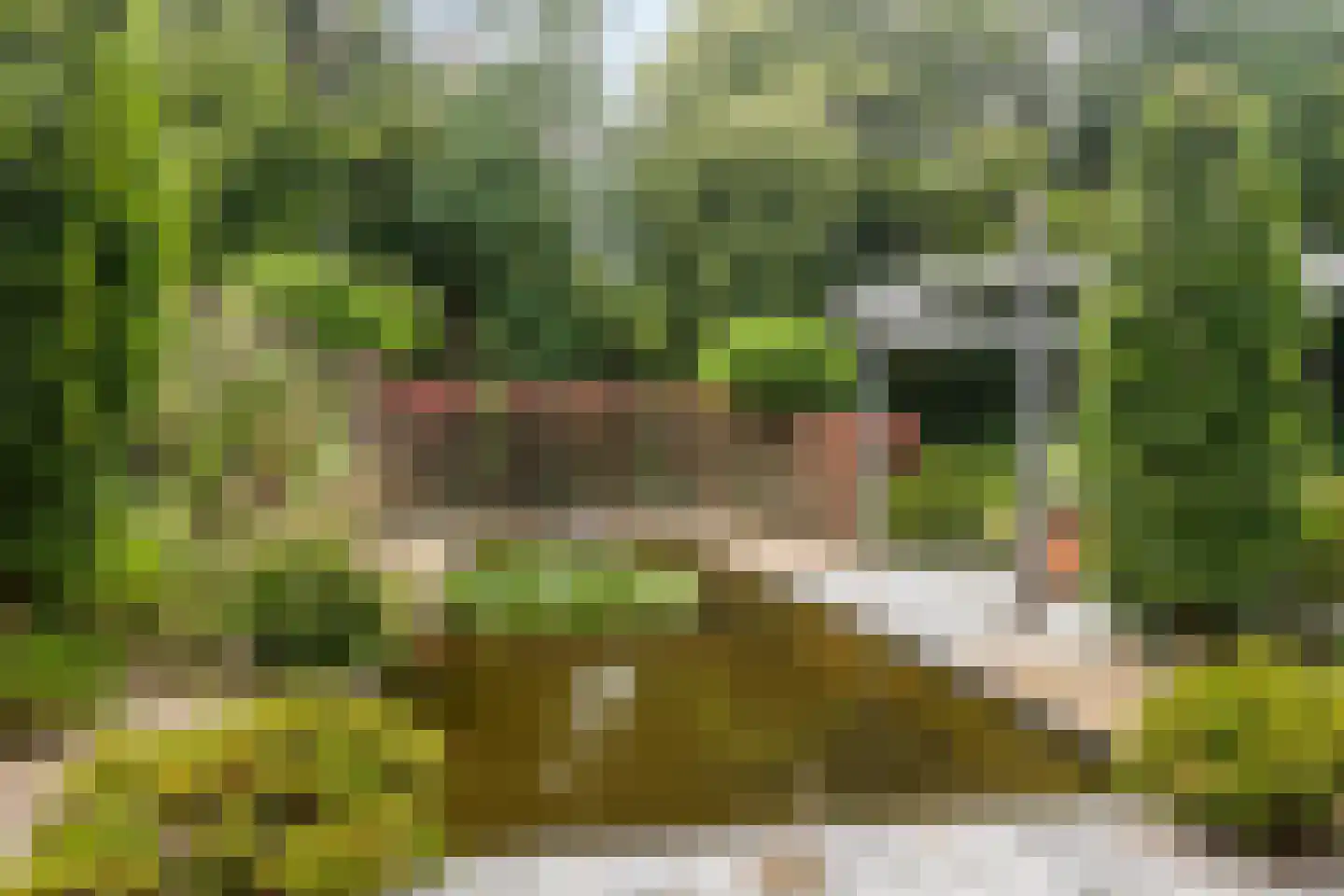 Dorpsstraat 18 Renswoude thumbnail 73