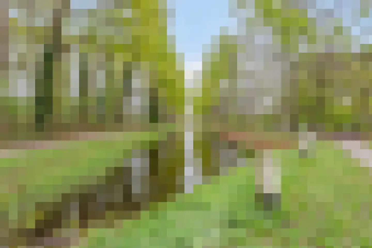 Dorpsstraat 18 Renswoude thumbnail 78