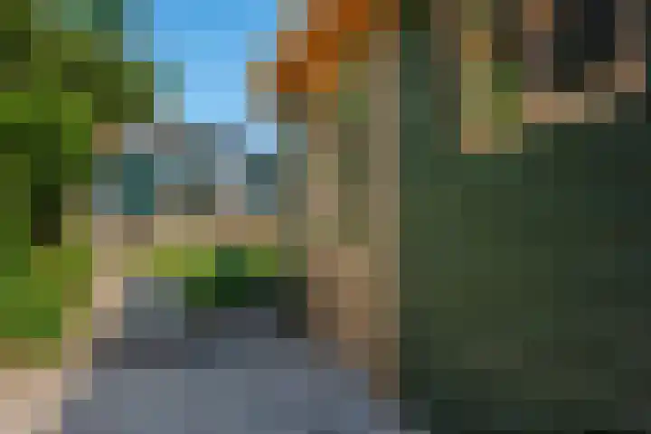 Dorpsstraat 18 Schraard thumbnail 13