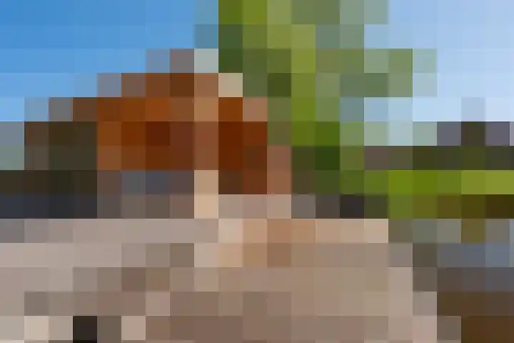 Dorpsstraat 18 Schraard thumbnail 14