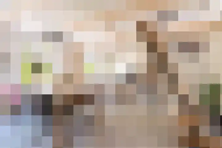 Dorpsstraat 18 Schraard thumbnail 17