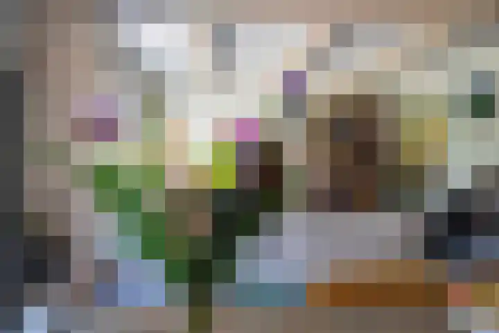 Dorpsstraat 18 Schraard thumbnail 20
