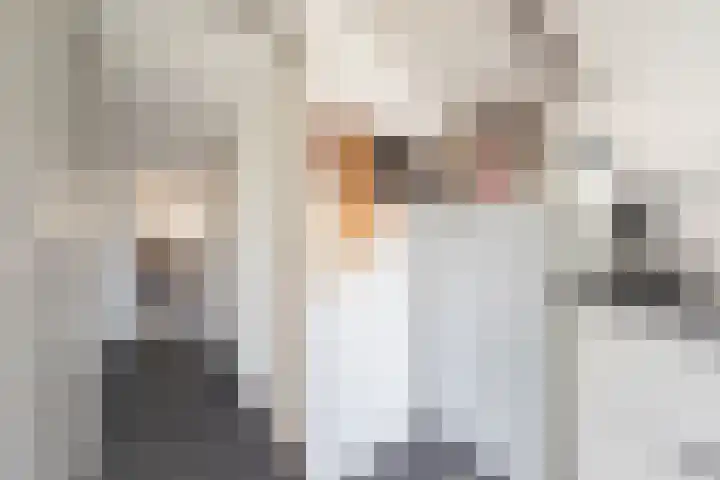Dorpsstraat 18 Schraard thumbnail 29