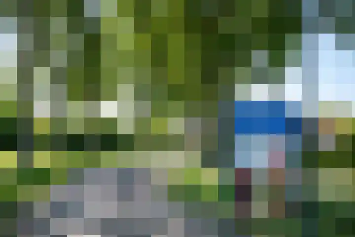 Dorpsstraat 18 Schraard thumbnail 6
