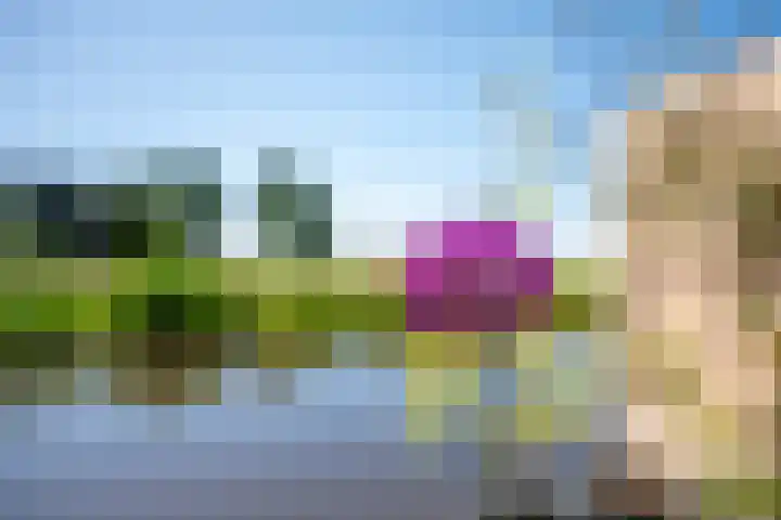 Dorpsstraat 18 Schraard thumbnail 9