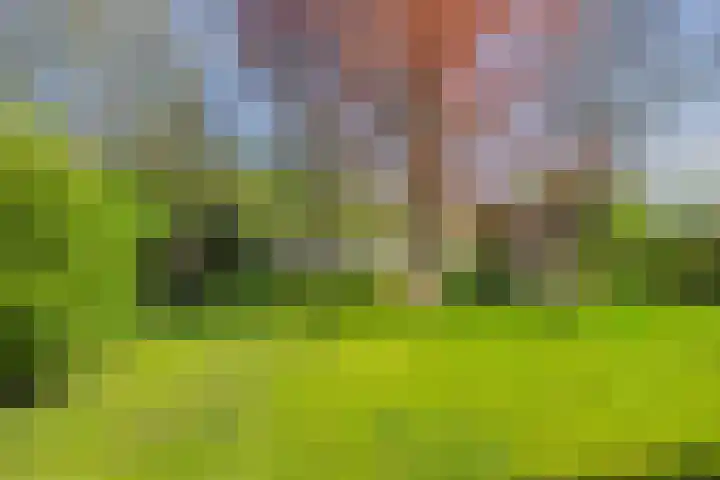 Dorpsstraat 18 Slenaken thumbnail 20