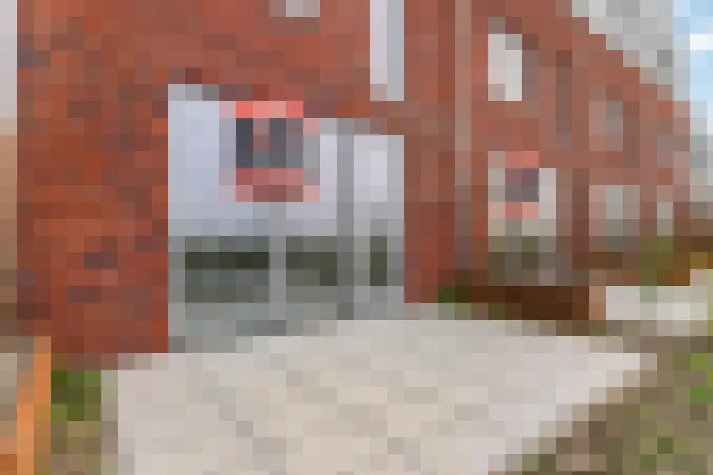 Dorpsstraat 18 Streefkerk thumbnail 19