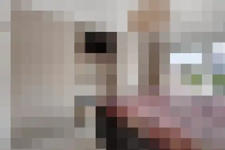 Dorpsstraat 18 Uffelte thumbnail 19