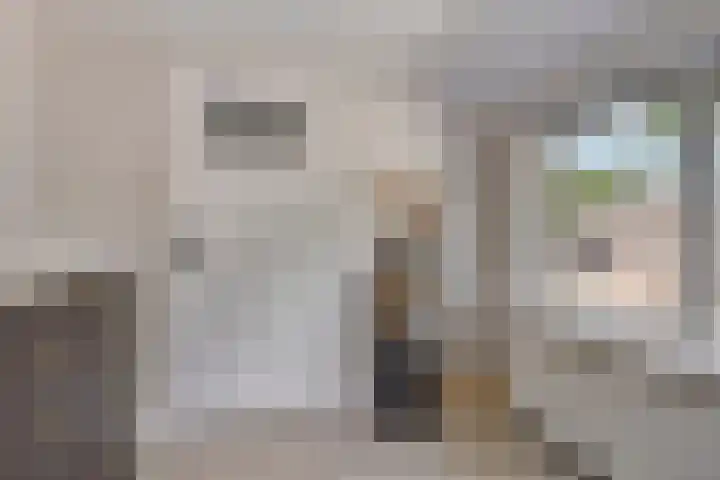 Dorpsstraat 18 Uffelte thumbnail 23