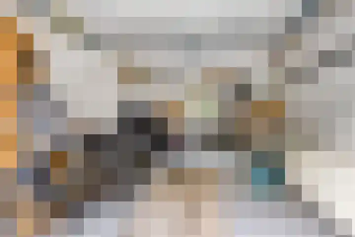 Dorpsstraat 18 Uffelte thumbnail 25