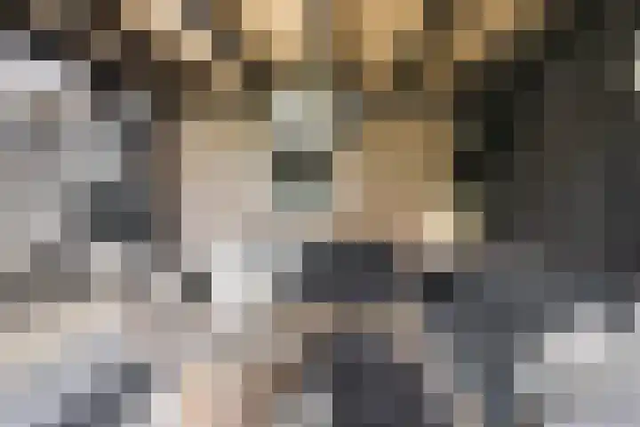 Dorpsstraat 18 Uffelte thumbnail 31