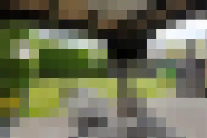 Dorpsstraat 18 Uffelte thumbnail 32