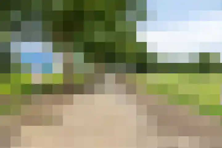 Dorpsstraat 18 Uffelte thumbnail 37