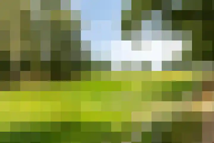 Dorpsstraat 18 Uffelte thumbnail 38