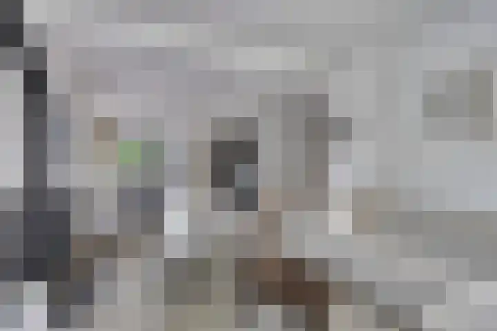 Dorpsstraat 18 Uffelte thumbnail 5
