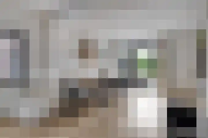 Dorpsstraat 18 Uffelte thumbnail 8