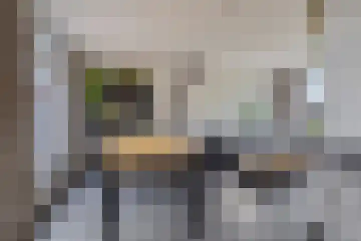 Dorpsstraat 18 Ulicoten thumbnail 8