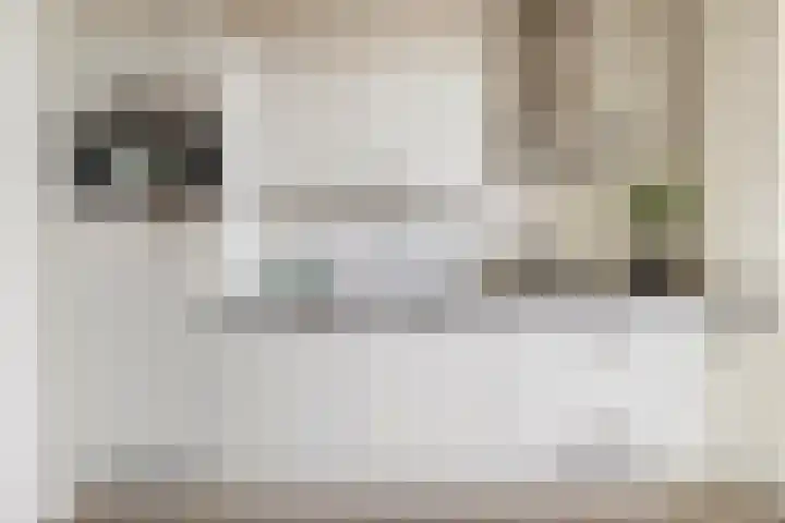 Dorpsstraat 18 Vuren thumbnail 9
