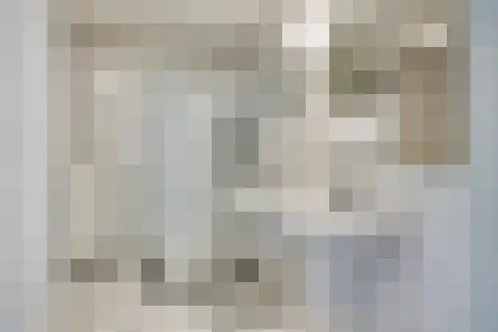 Dorpsstraat 18 Waalre thumbnail 13
