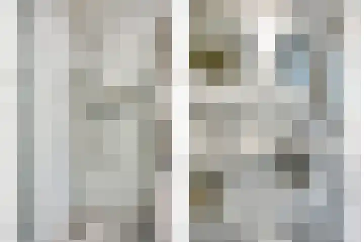 Dorpsstraat 18 Waalre thumbnail 14