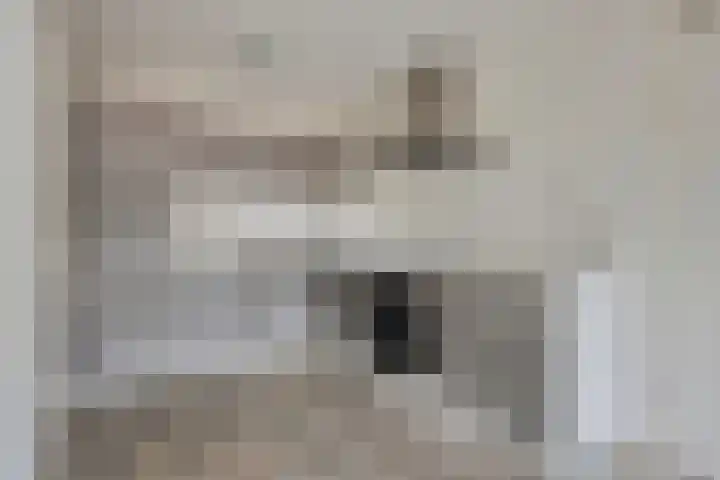 Dorpsstraat 18 Waalre thumbnail 7