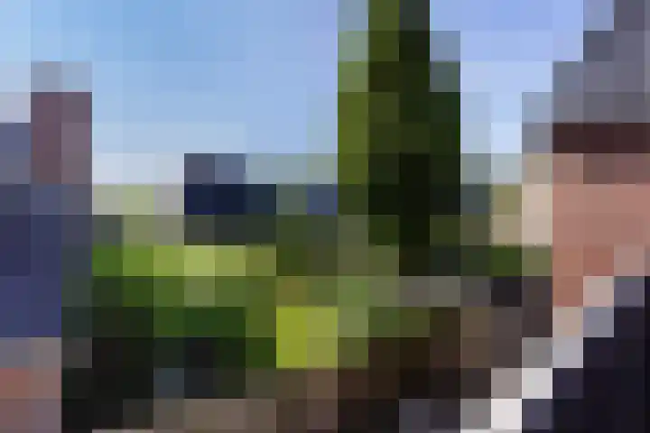 Dorpsstraat 181 Zoetermeer thumbnail 25
