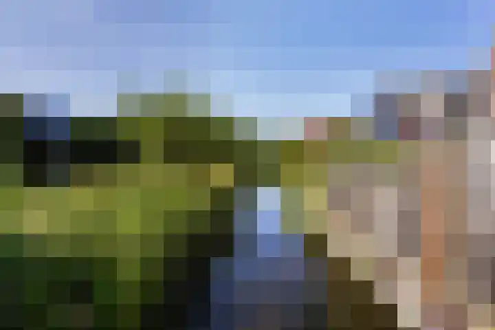 Dorpsstraat 181 Zoetermeer thumbnail 34
