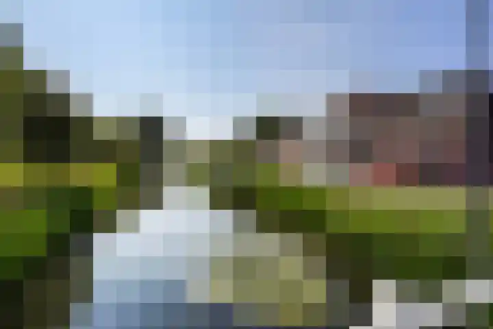 Dorpsstraat 181 Zoetermeer thumbnail 36