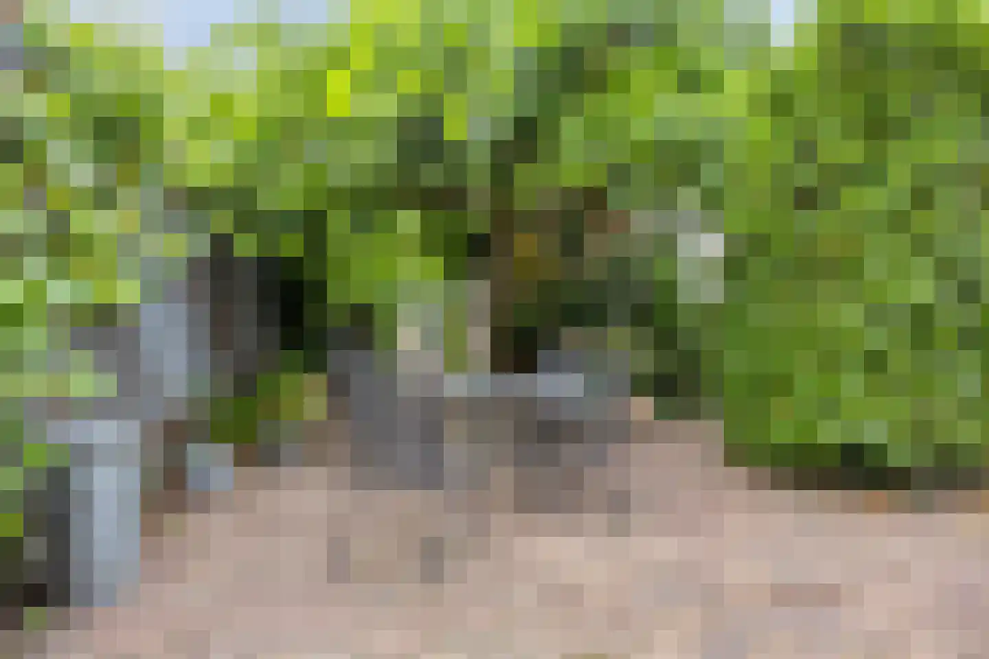 Dorpsstraat 184 Harmelen thumbnail 21
