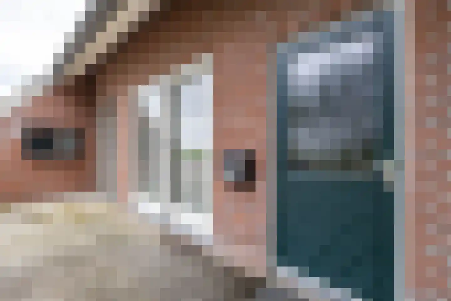 Dorpsstraat 186 Kiel-Windeweer thumbnail 65
