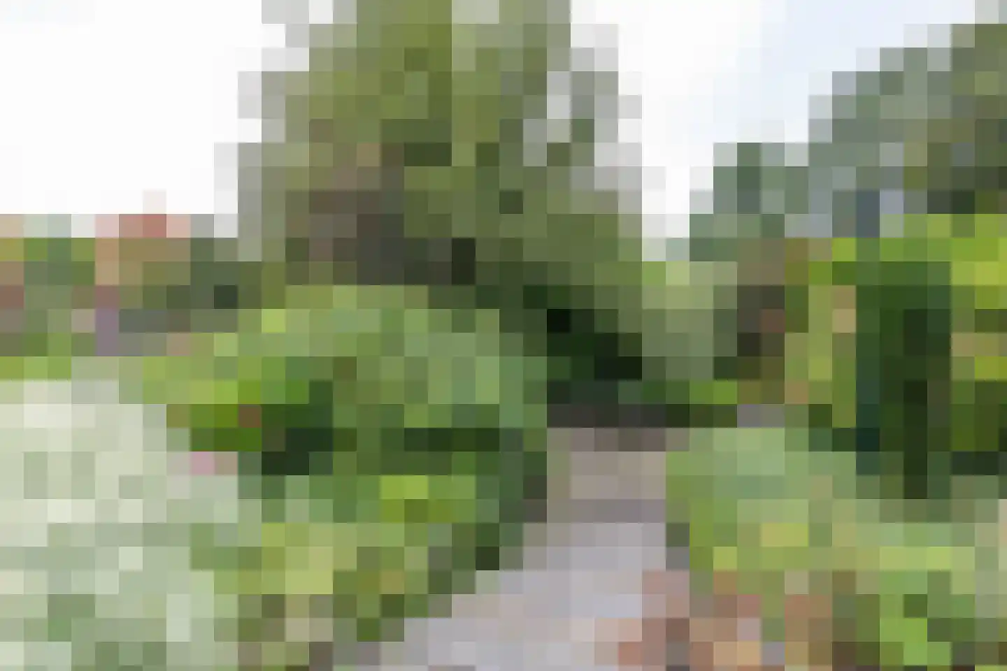 Dorpsstraat 186 Kiel-Windeweer thumbnail 93