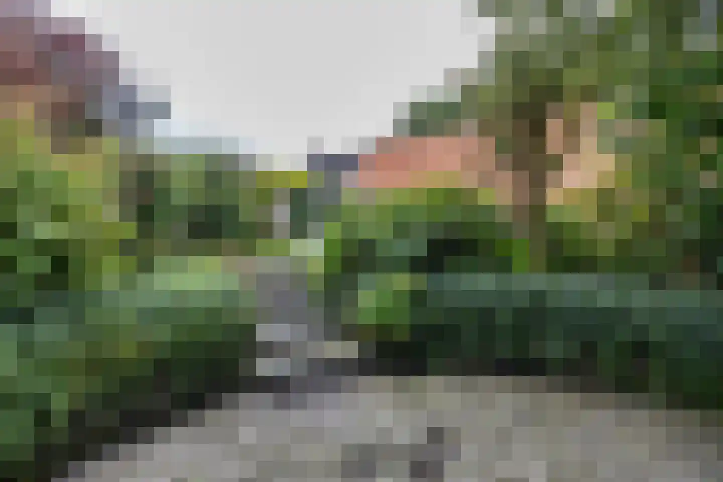 Dorpsstraat 186 Kiel-Windeweer thumbnail 95