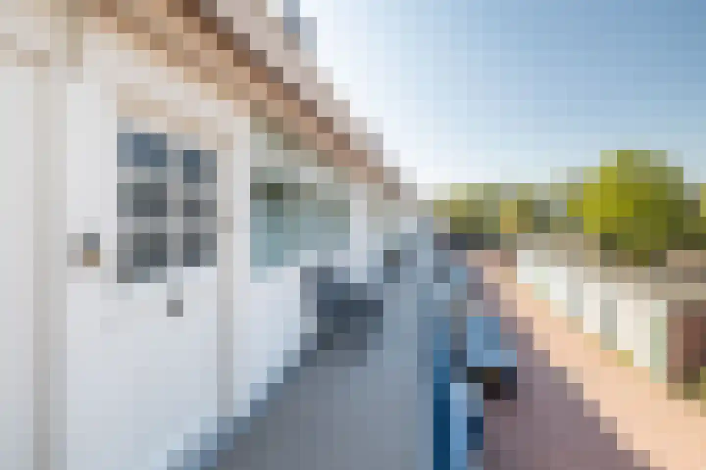 Dorpsstraat 19 Bergschenhoek thumbnail 17