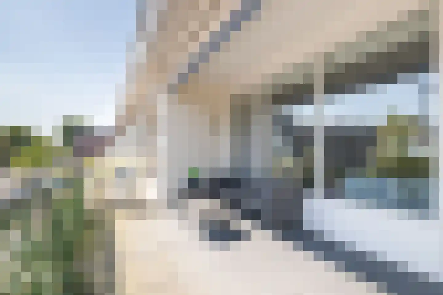 Dorpsstraat 19 Bergschenhoek thumbnail 18
