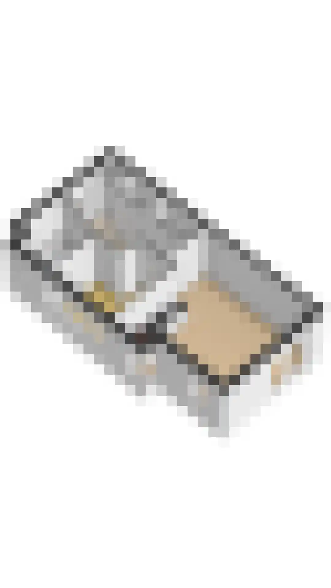 Dorpsstraat 19 Elim thumbnail 11