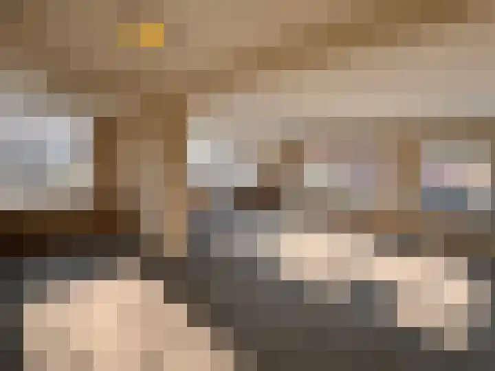 Dorpsstraat 19 Elim thumbnail 15