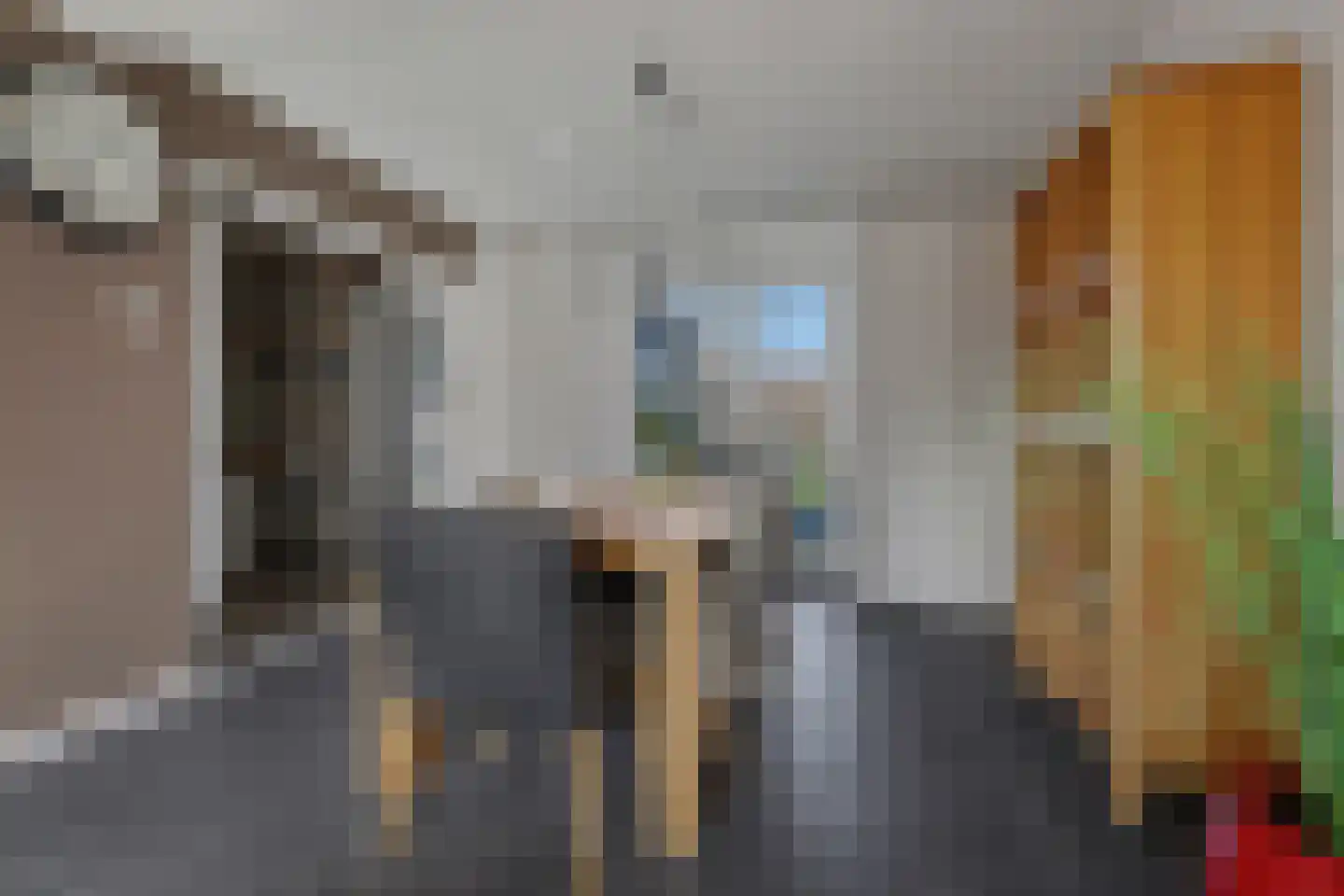 Dorpsstraat 19 Heinkenszand thumbnail 11