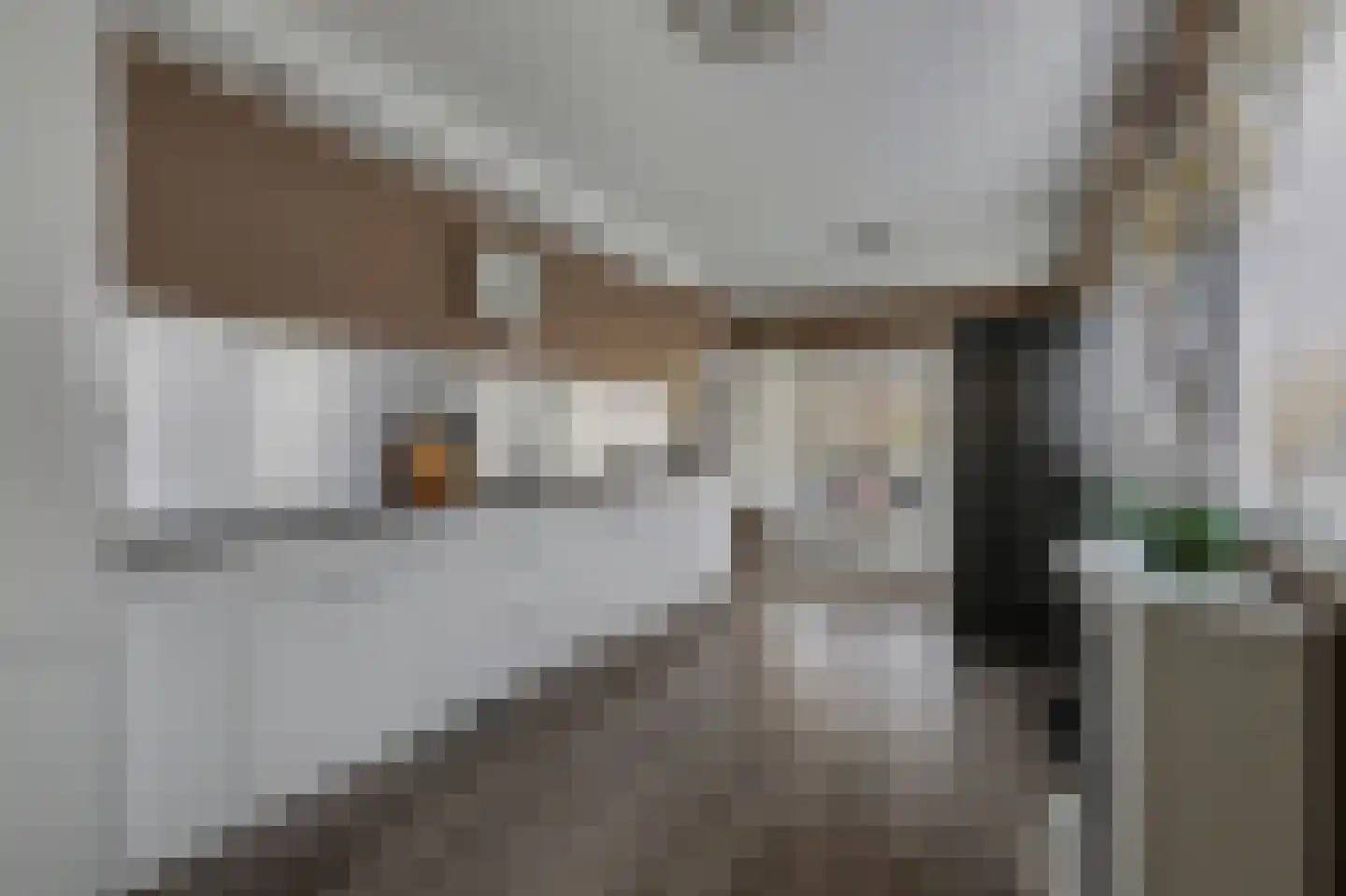 Dorpsstraat 19 Heinkenszand thumbnail 12