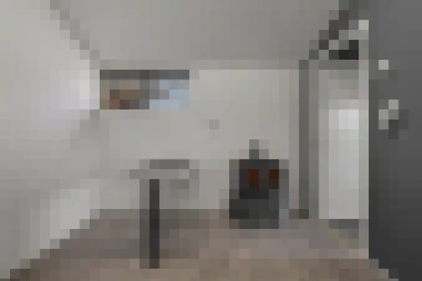 Dorpsstraat 19 Heinkenszand thumbnail 32