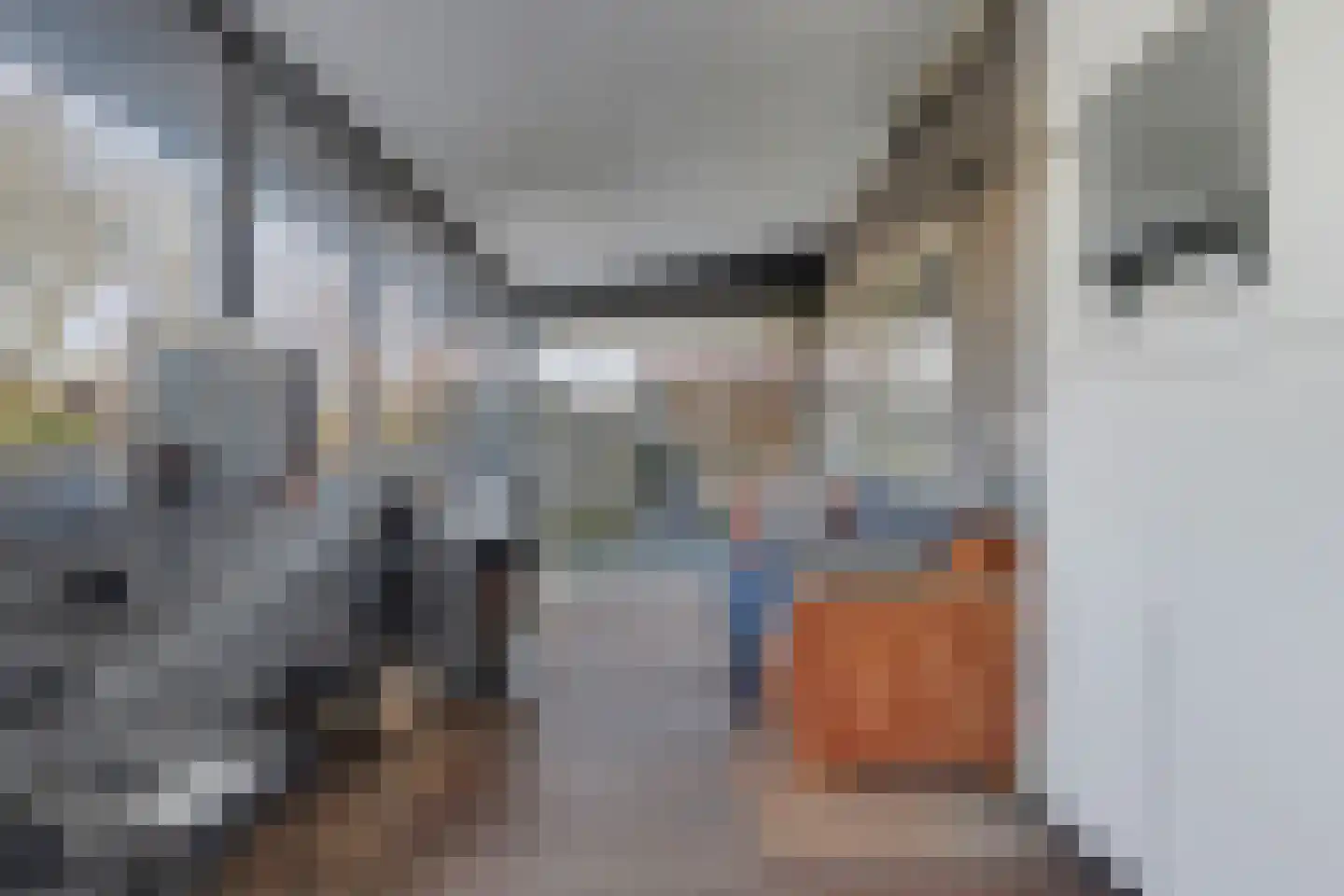 Dorpsstraat 19 Heinkenszand thumbnail 42