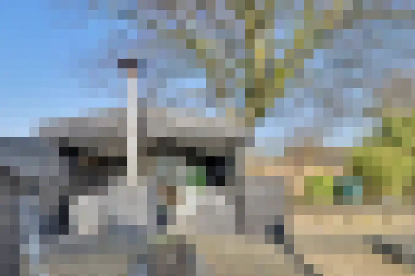 Dorpsstraat 19 Heinkenszand thumbnail 48