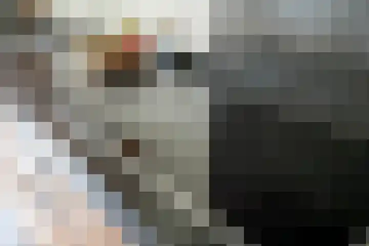 Dorpsstraat 19 Ledeacker thumbnail 22