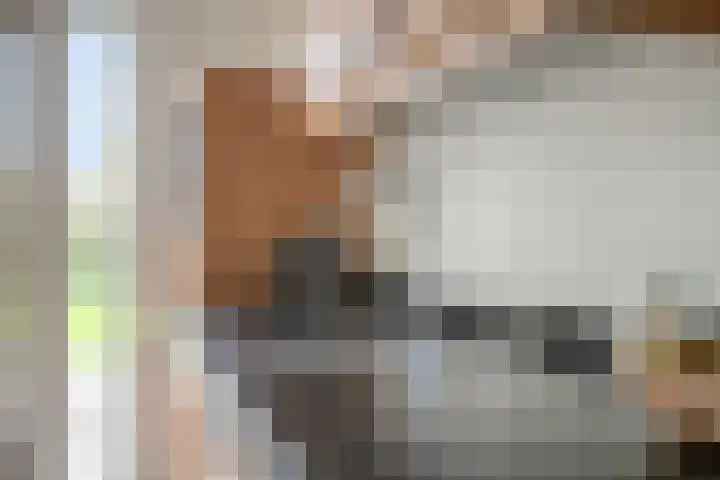 Dorpsstraat 19 Ledeacker thumbnail 24