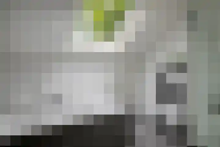 Dorpsstraat 19 Ledeacker thumbnail 34